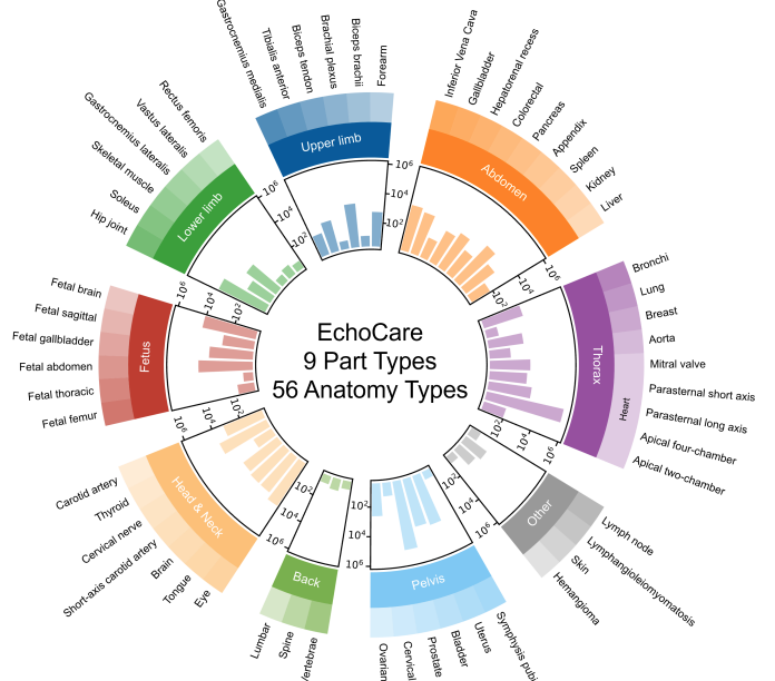 EchoCare preview